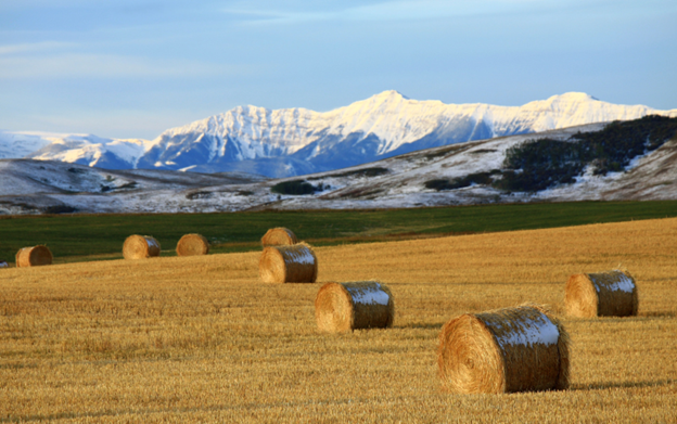 Living in Alberta