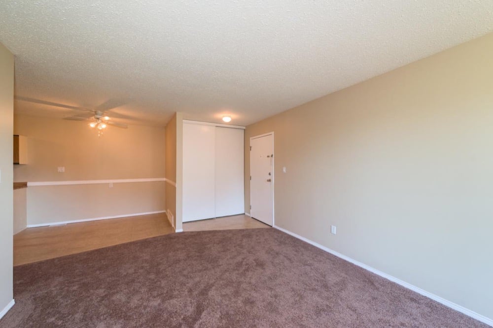 1 Chambre at Warwick Apartments